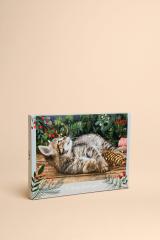 Katzen Adventskalender 2024
